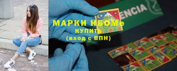 ПСИЛОЦИБИНОВЫЕ ГРИБЫ Михайлов
