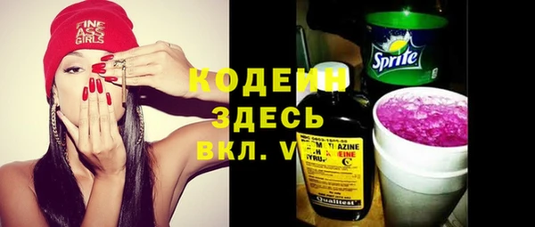 ПСИЛОЦИБИНОВЫЕ ГРИБЫ Михайлов