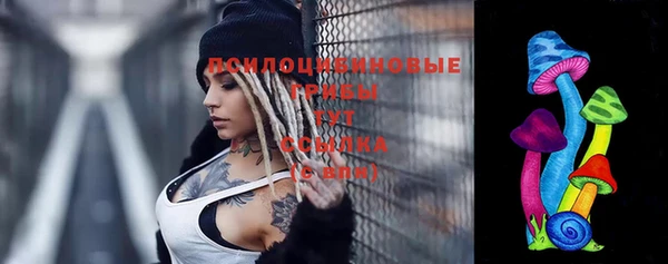 ПСИЛОЦИБИНОВЫЕ ГРИБЫ Михайлов