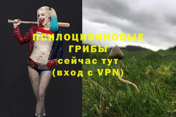 круглые Михайловск