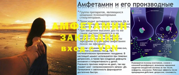 ПСИЛОЦИБИНОВЫЕ ГРИБЫ Михайлов