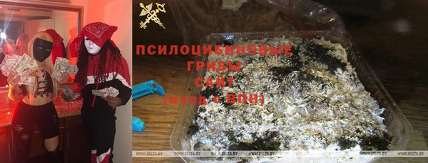 ПСИЛОЦИБИНОВЫЕ ГРИБЫ Михайлов