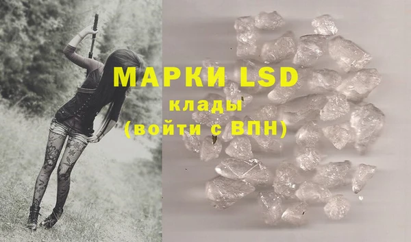 ПСИЛОЦИБИНОВЫЕ ГРИБЫ Михайлов