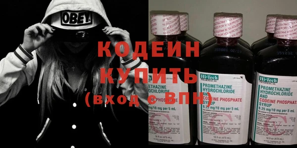 ПСИЛОЦИБИНОВЫЕ ГРИБЫ Михайлов