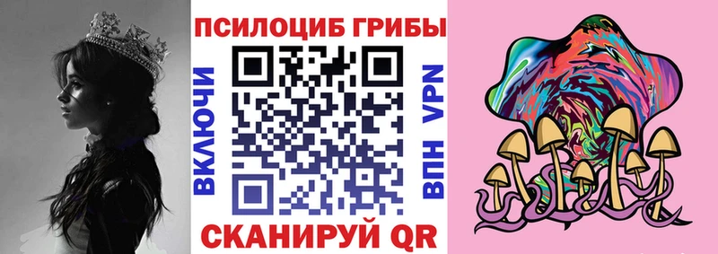 где можно купить наркотик Староминская Псилоцибиновые грибы ЛСД